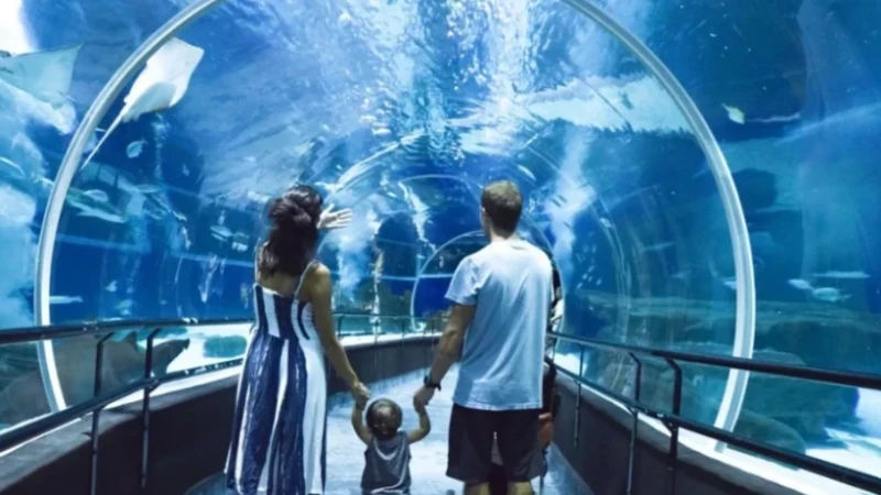 AquaRio