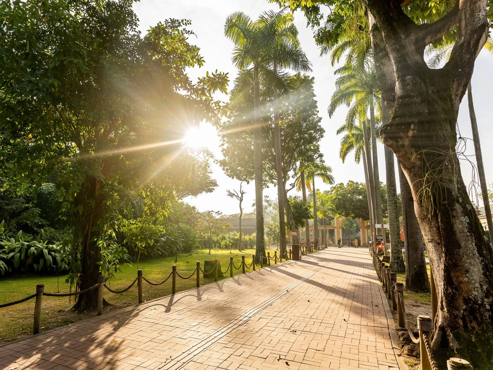 Au cœur de la Quinta da Boa Vista