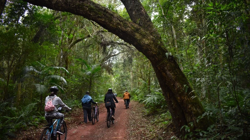 Tour in bici Poço Preto
